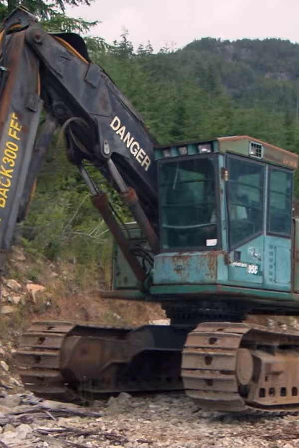 Big Timber