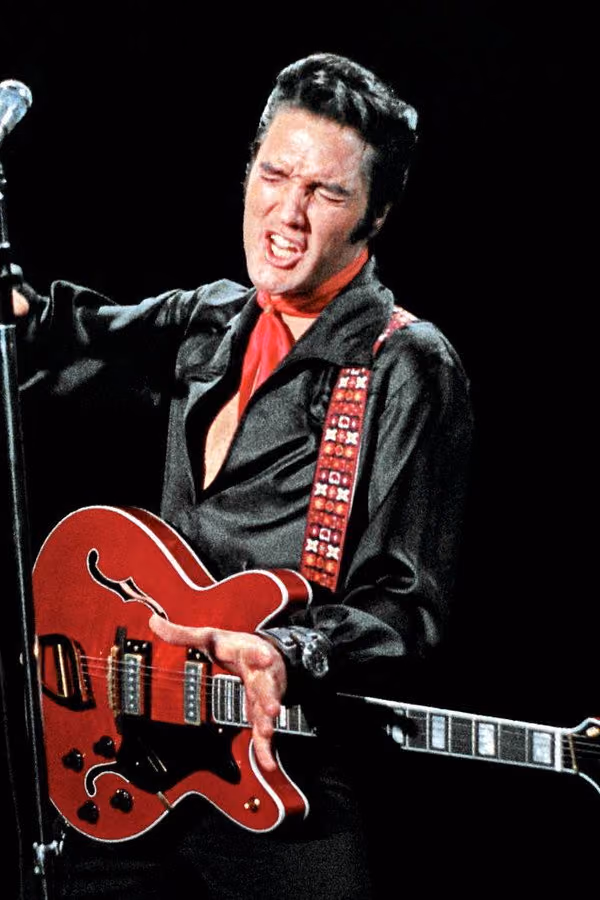 Elvis Presley: The Searcher