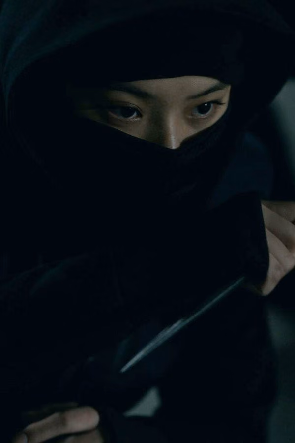 House of Ninjas