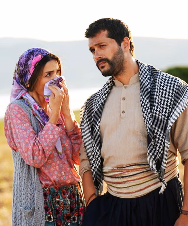 Le Chemin de l'olivier - Zeytin Ağacı