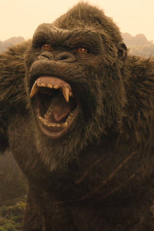 Monarch: Canavarların Mirası - Monarch: Legacy of Monsters