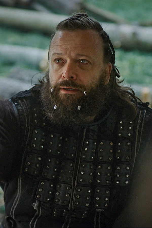 Norsemen - Vikingane