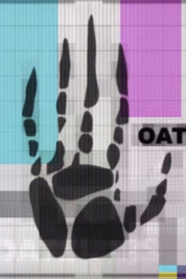 Oats Studios