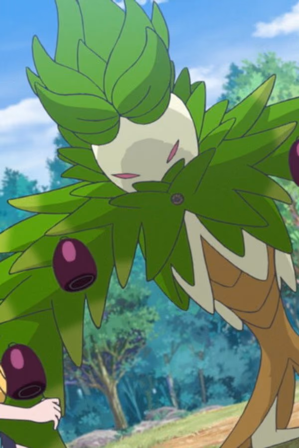 Pokémon Yeni Ufuklar: Dizi