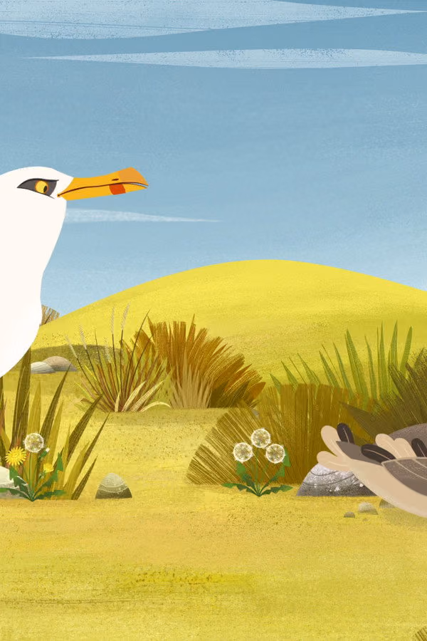 Puffin Rock