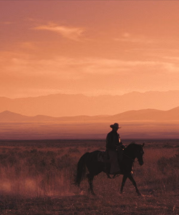 Wyatt Earp and the Cowboy War