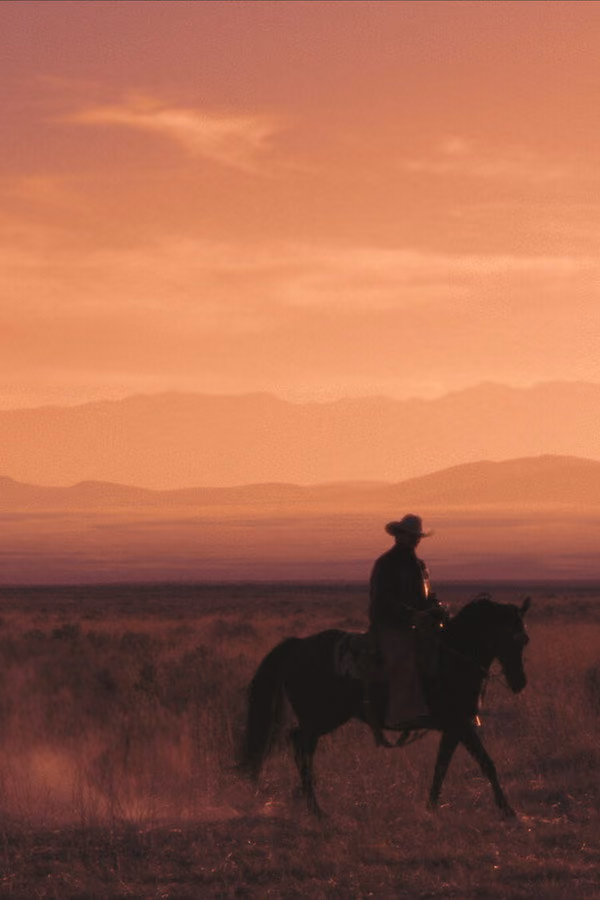 Wyatt Earp ve Kovboy Savaşı - Wyatt Earp and the Cowboy War