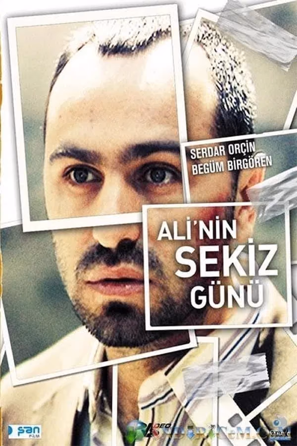Ali'nin Sekiz Günü (2009)