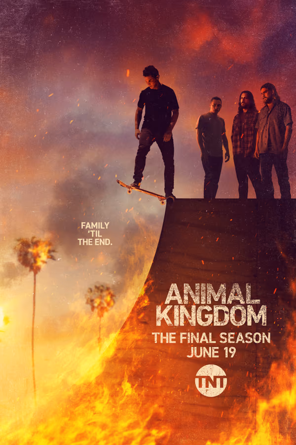 Animal Kingdom