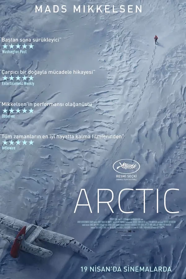 Arctic (2018)