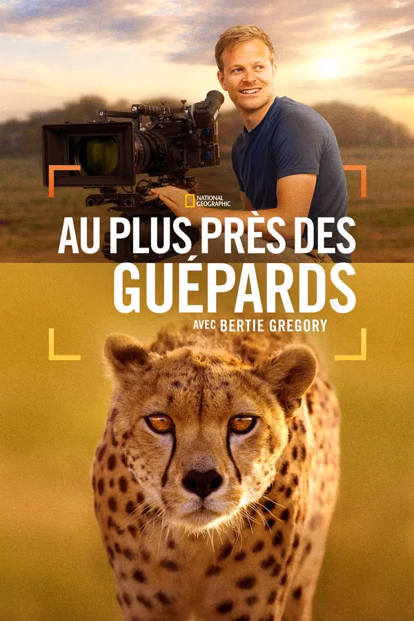 Au plus près des guépards avec Bertie Gregory - Cheetahs Up Close with Bertie Gregory (2026)