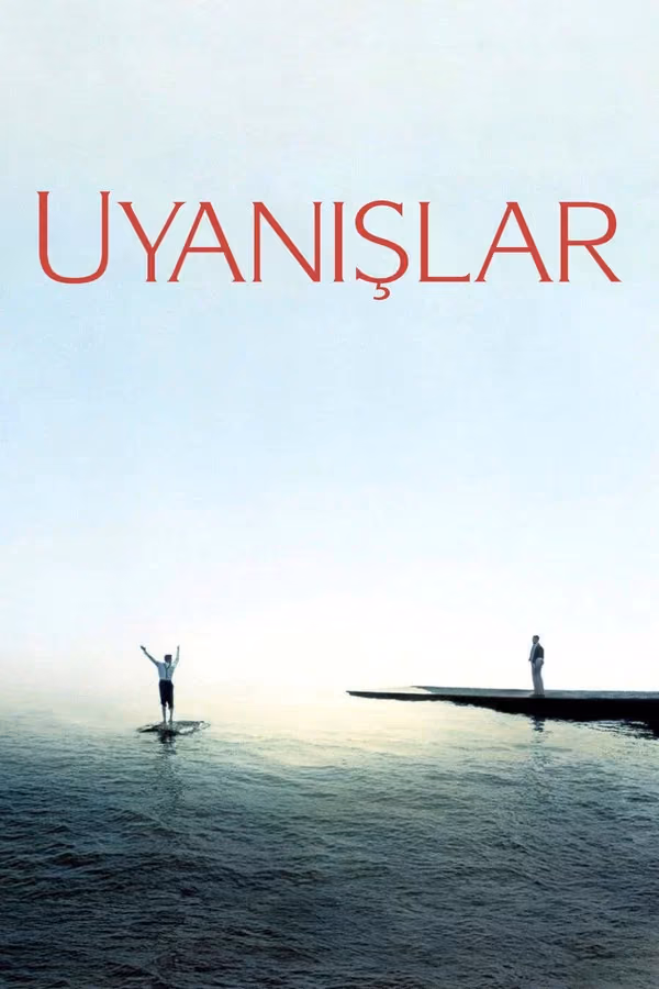 Awakenings (1990)