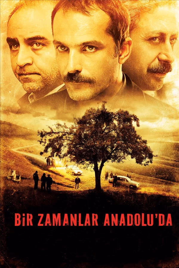Bir Zamanlar Anadolu'da (2011)