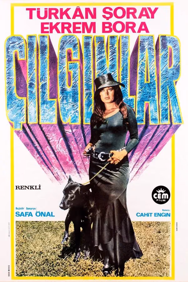 Çılgınlar (1974)
