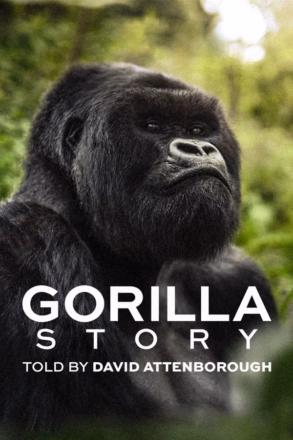 David Attenborough: Bir Goril Hikâyesi - A Gorilla Story: Told by David Attenborough (2026)
