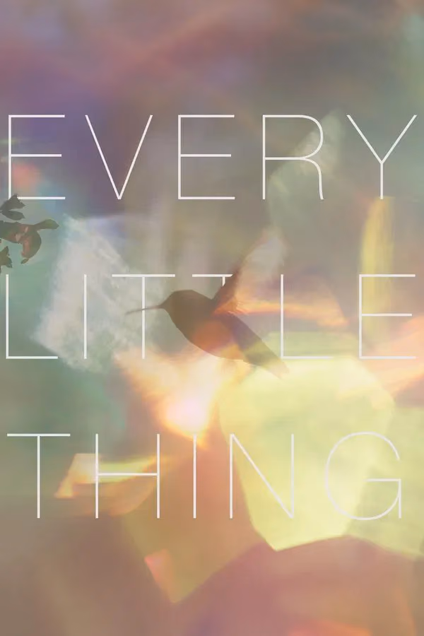 Every Little Thing (2025)