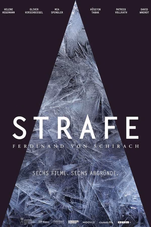 Ferdinand von Schirach: Strafe