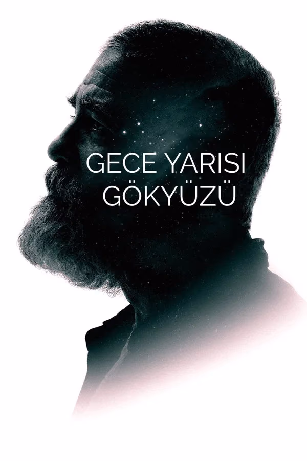 Gece Yarısı Gökyüzü (2020)