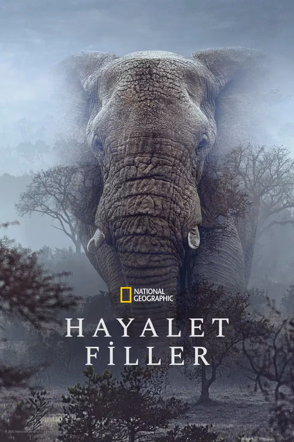 Hayalet Filler - Ghost Elephants (2026)