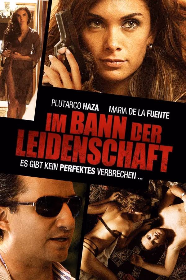 Im Bann der Leidenschaft (2011)