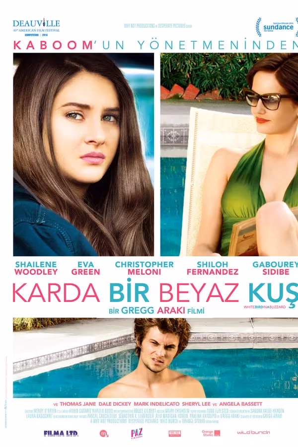 Karda Bir Beyaz Kuş (2014)