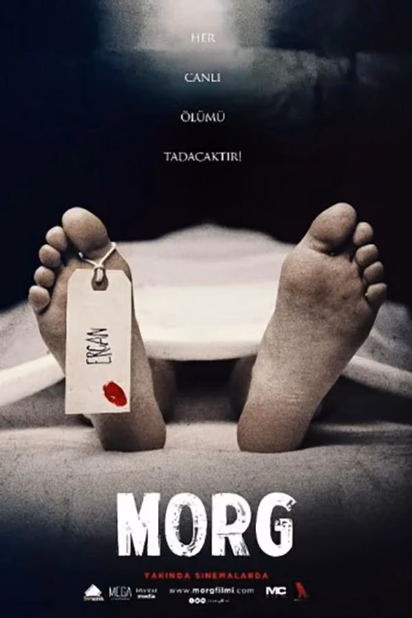 Morg (2017)