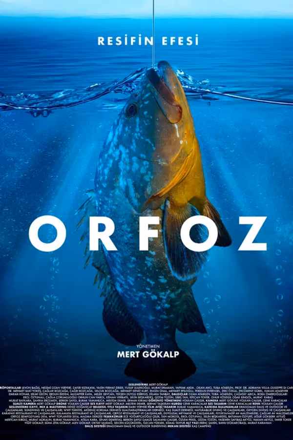 Orfoz: Resifin Efesi (2021)