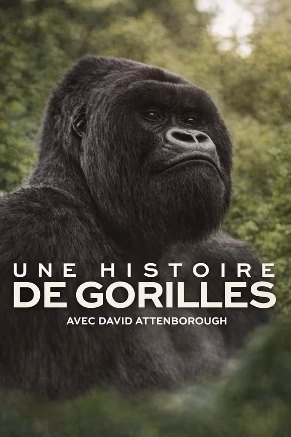 Une histoire de gorilles avec David Attenborough - A Gorilla Story: Told by David Attenborough (2026)