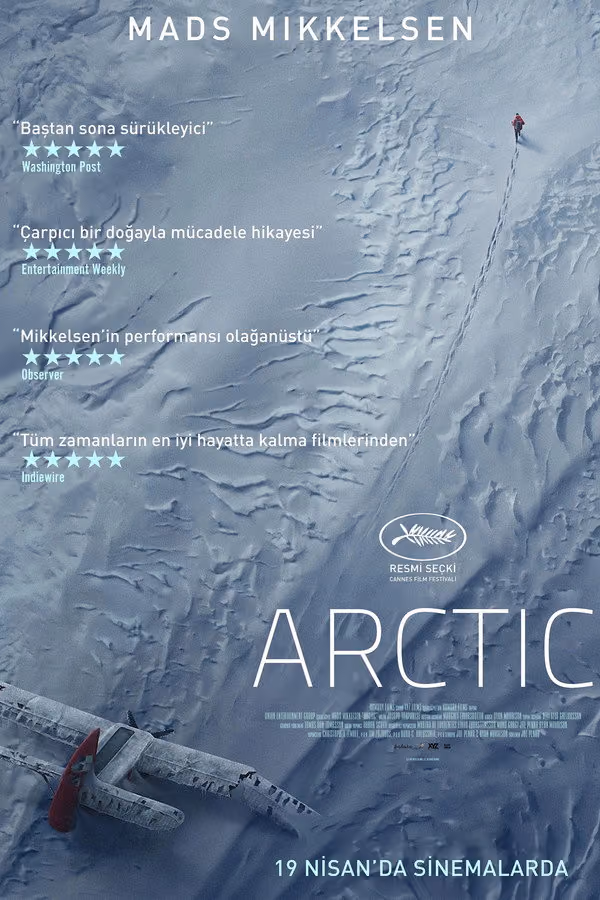 Arctic (2018)