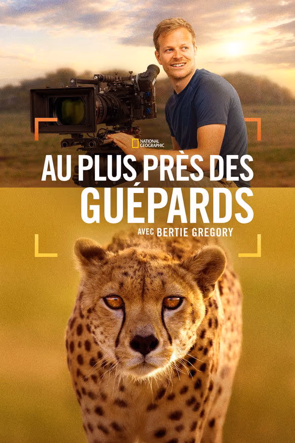 Au plus près des guépards avec Bertie Gregory - Cheetahs Up Close with Bertie Gregory (2026)