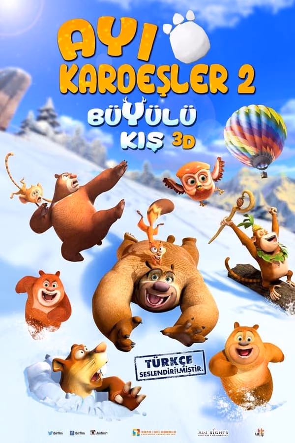 Ayı Kardeşler: Büyülü Kış (2015)