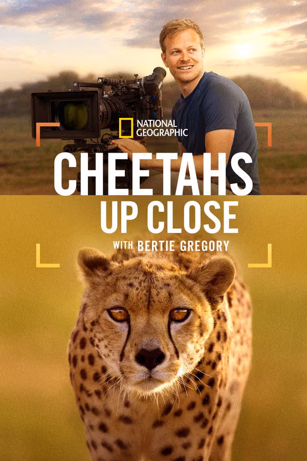 Bertie Gregory Çitalar ile Yüz Yüze - Cheetahs Up Close with Bertie Gregory (2026)