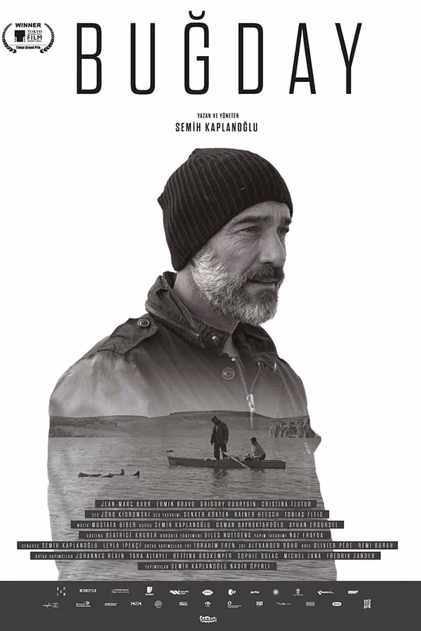 Buğday (2017)