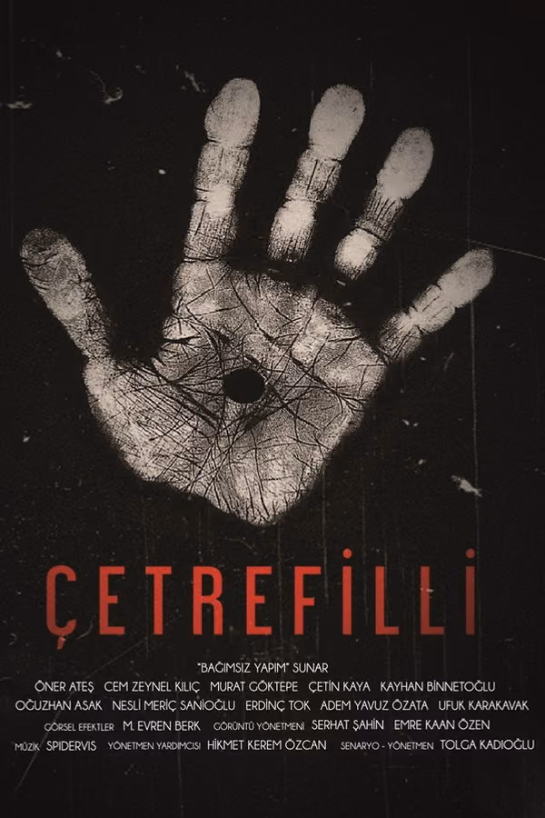 Çetrefilli (2017)