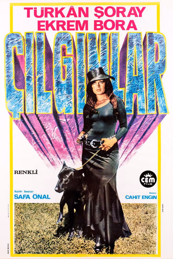 Çılgınlar (1974)