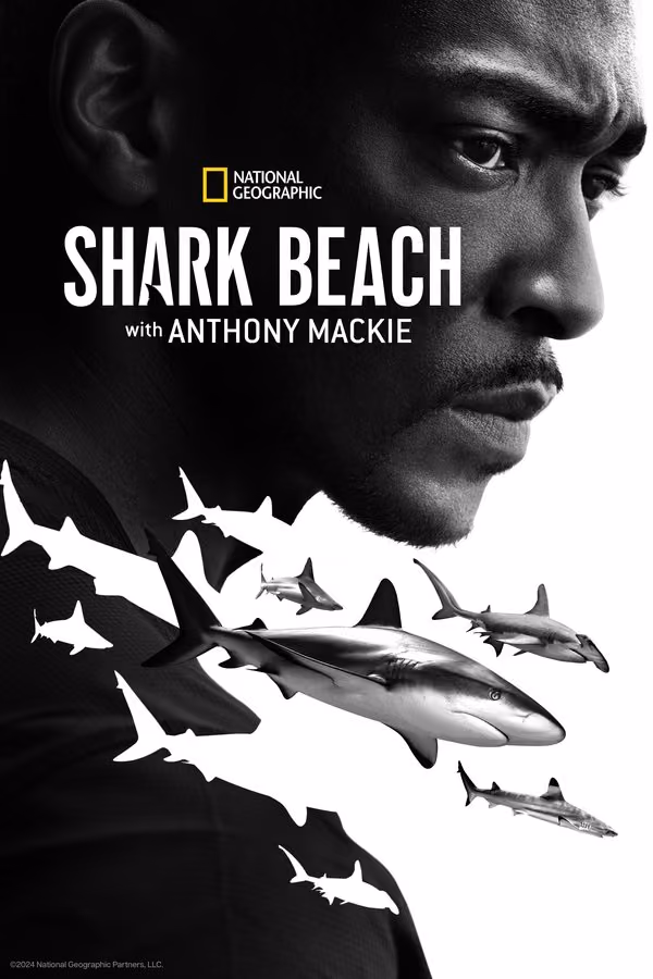 Der Strand der Haie mit Anthony Mackie: Golfküste (2024)