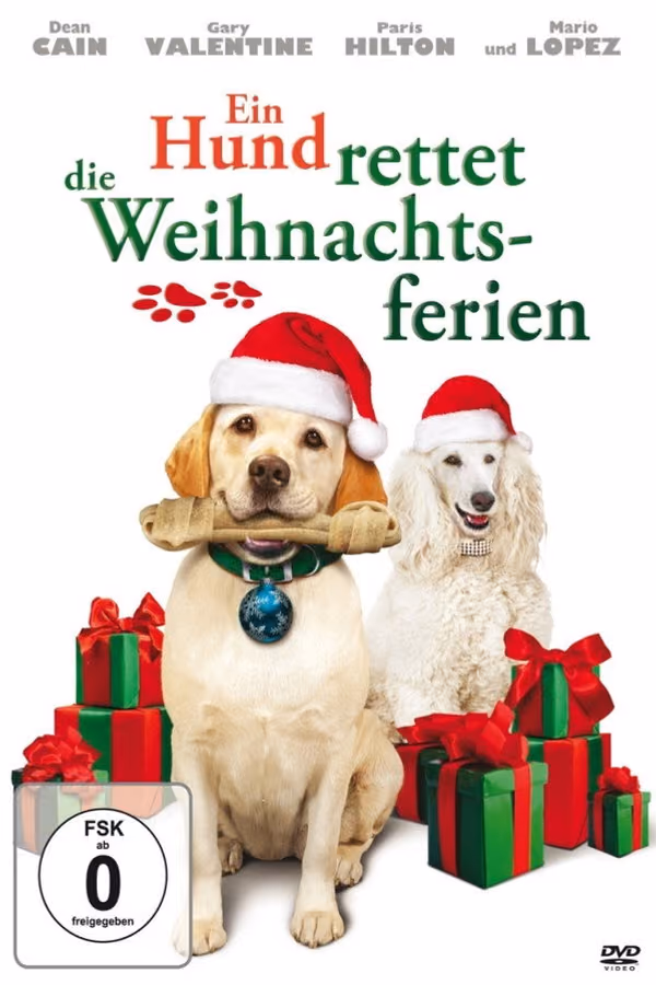 Ein Hund rettet die Weihnachtsferien (2010)