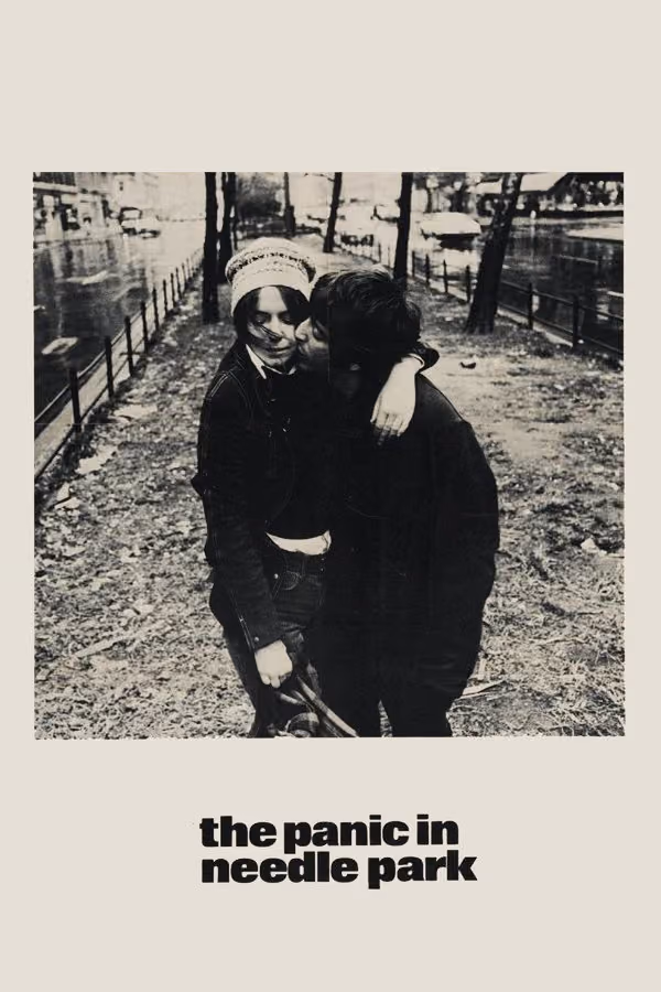 Esrar bitti - The Panic In Needle Park (1971)