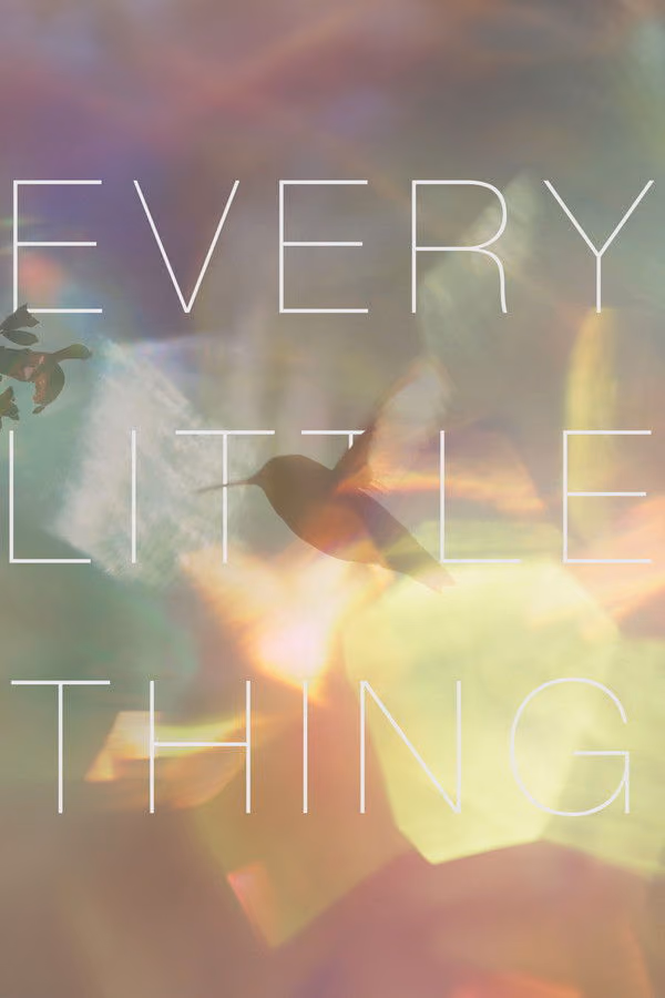 Every Little Thing (2025)
