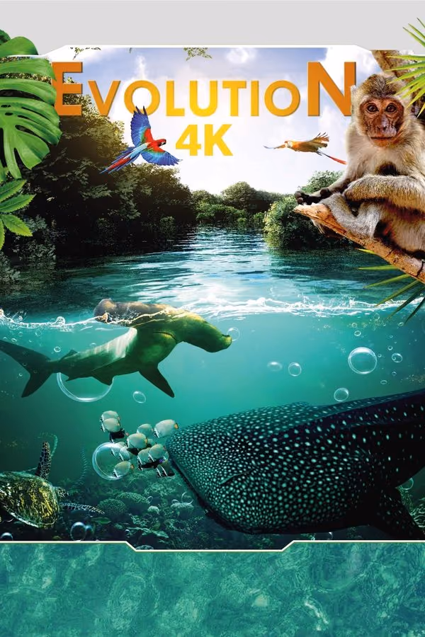 Evolution 4K.2018 (2018)