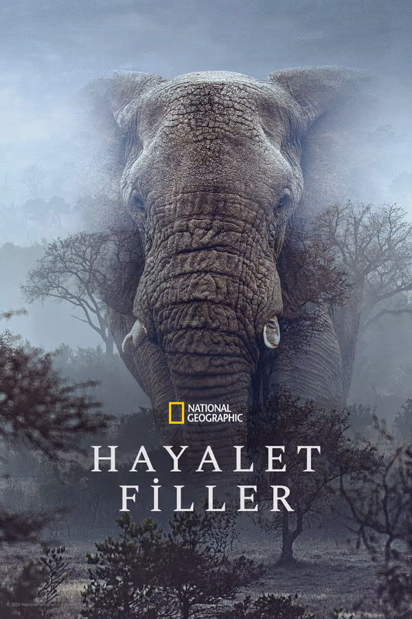 Hayalet Filler - Ghost Elephants (2026)