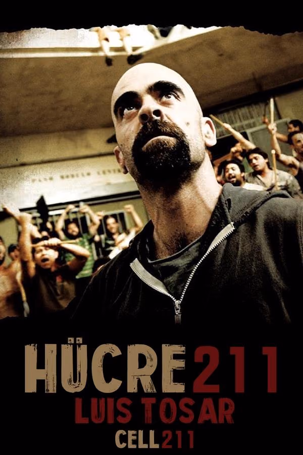 Hücre 211 (2009)