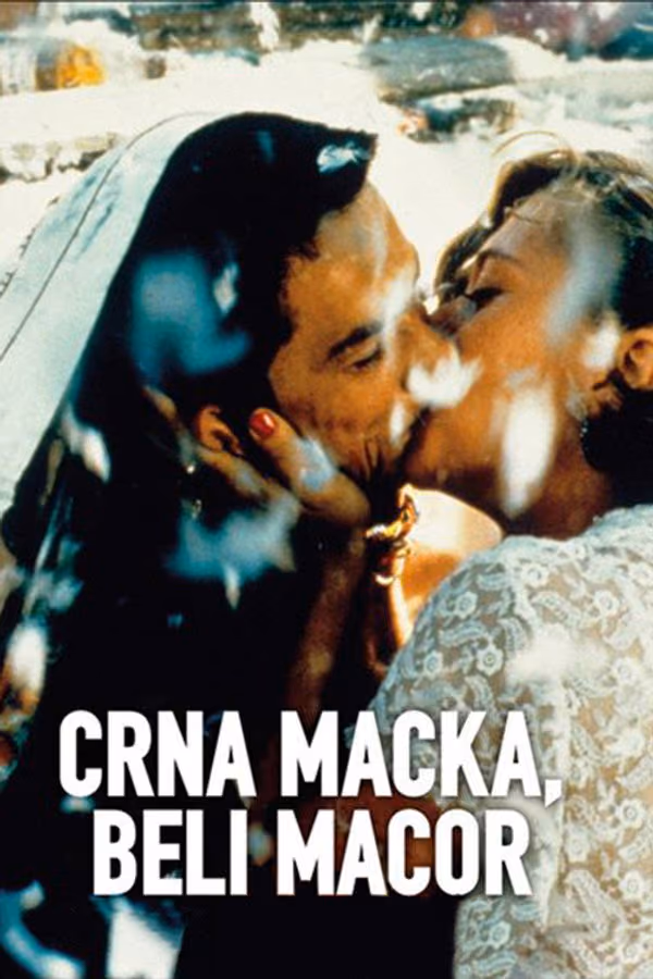 Kara Kedi, Ak Kedi (1998)