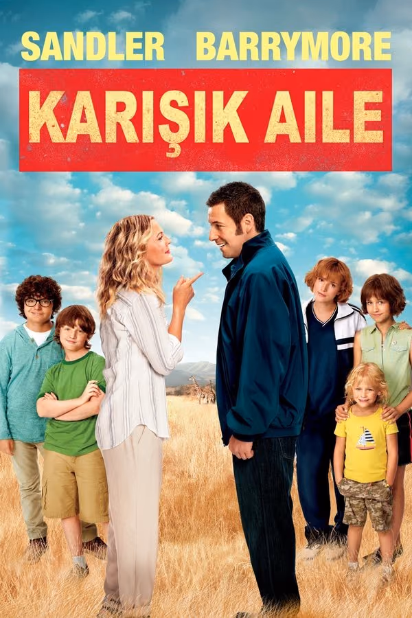 Karışık Aile - The Wedding Singer (2014)