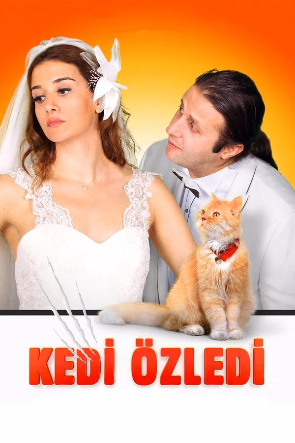 Kedi Özledi (2013)