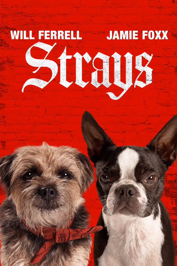 Kulağı Kesikler - Strays (2023)
