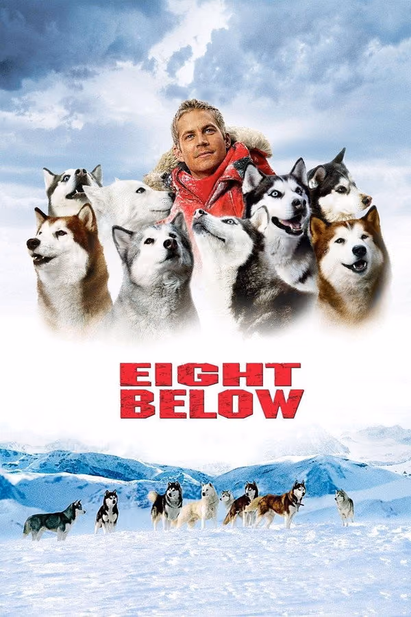 Kutup Macerası - Eight Below (2006)