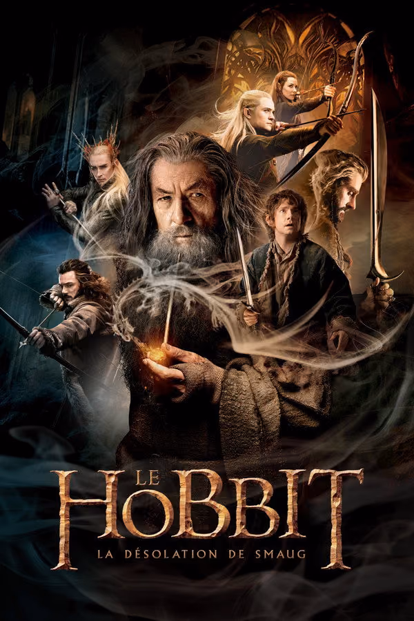 Le Hobbit : La Désolation de Smaug - The Hobbit: The Desolation of Smaug (2013)