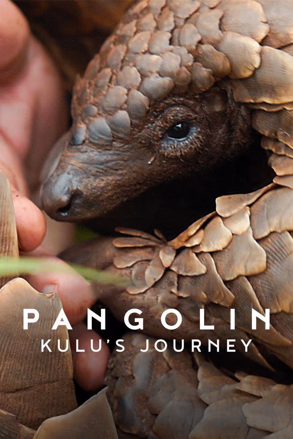 Pangolin: Kulu'nun Yolculuğu (2025)