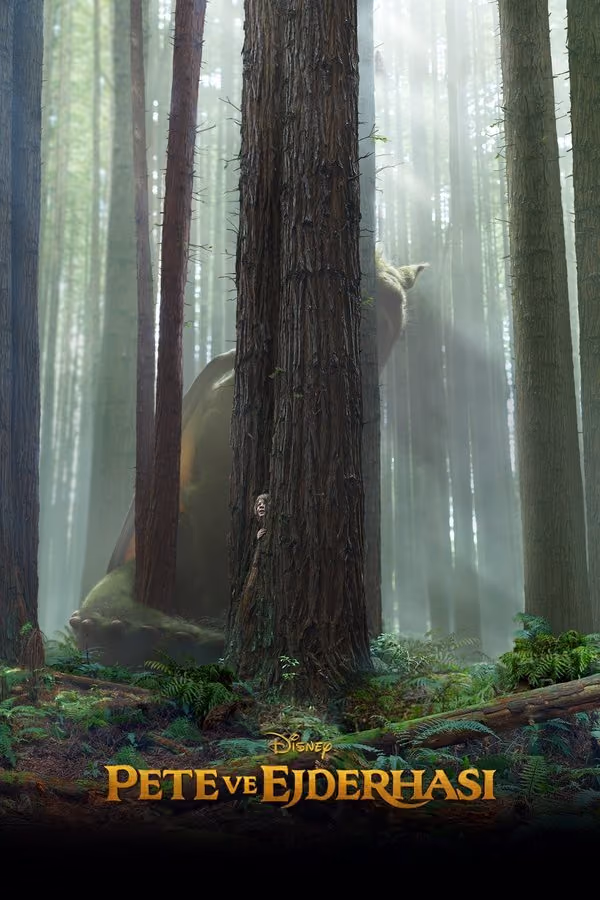 Pete ve Ejderhası - Pete's Dragon (2016)
